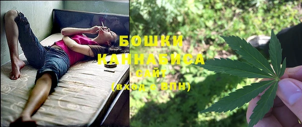 Альфа ПВП Аркадак